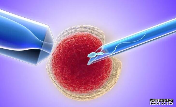 西安西京医院那个医生做试管成功率最高 2022年西安试管婴儿能包成功的医院名单 ‘如何从四个月的b超单上看男孩女孩’
