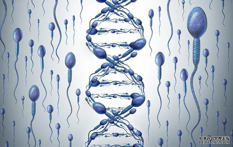 广州中山附属一院做试管流程 广州私立医院做试管可以选性别吗? ‘nt能看男女’