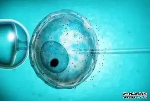 2023哈尔滨正规民营捐卵机构火热更新！内附机构选择指南