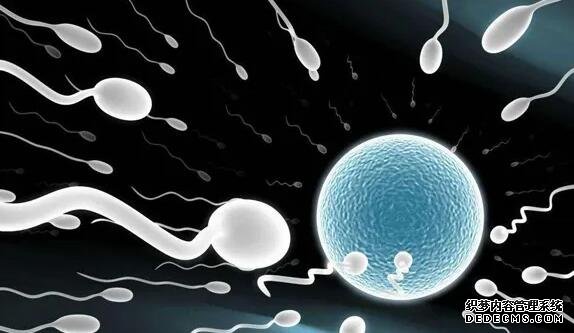 找山东代怀 山东泰安市中心医院能做试管婴儿吗? ‘9个怀女孩征兆’