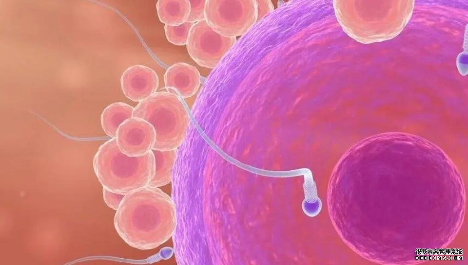 长沙外面公司做试管很神秘 湖南长沙做试管哪个医院最好（内附2022最新湖南长沙试管费用） ‘75度的酒精可以测试男孩女孩吗’