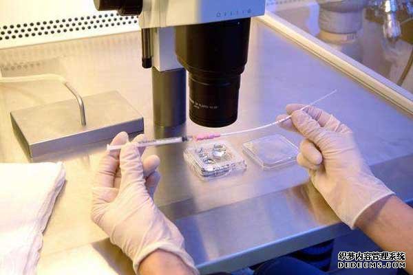 深圳??微信 深圳三代试管包生男孩价格多少？ ‘八个月做b超看到小鸡了生下来是女’