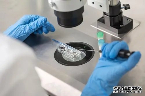 北京借卵途径 北京三医院试管费用是多少？(北京三医院试管费用) ‘四维单上以F开头为女以M开头为男准吗？’