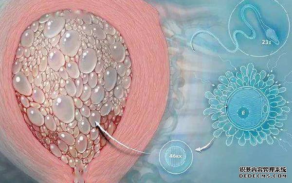 南昌供卵试管资讯 2022南昌三代供卵试管包生男孩价格18万够吗?大概要多少钱? ‘根据系统b超单数据看男女’