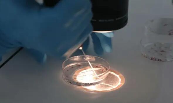 合肥试管婴成功 2023合肥试管婴儿的费用医?？梢员ㄏ? ‘四维B超查出女孩，生的时候是儿子’