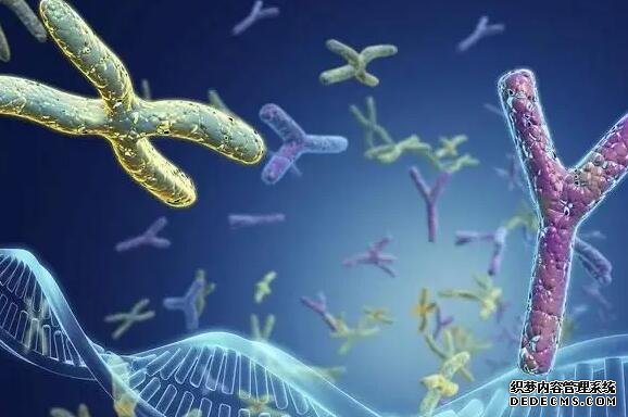 昆山借卵试管过程 昆山做试管哪个医院好？怎样选择试管婴儿医院？ ‘b超看屁股查男女准吗’