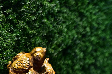 产减肥瘦身方法探讨：宝妈如何重塑辣妈身材