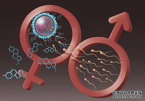 2022广州妇幼保健院包生男孩价格多少钱？