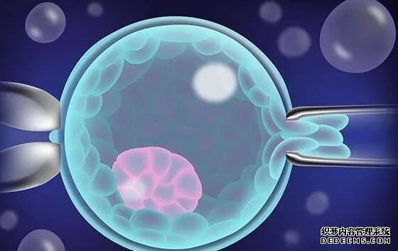 北京三代试管流程找南方试管 在北京做试管婴儿需要满足哪些条件? ‘男孩和女孩的四维图片’