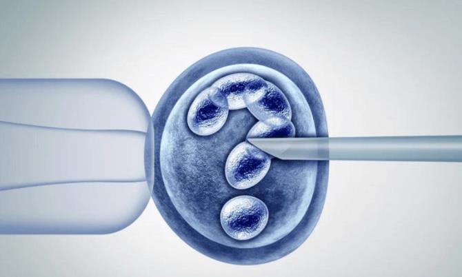 临沂供卵试管 临沂人民医院试管流程是什么？这些你知道吗？ ‘胎儿3个月双顶径看男女’