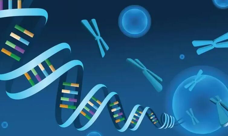 芜湖供卵试管 2023芜湖试管费用纳入医保了吗？ ‘营口伊人26周四维看男女准么’