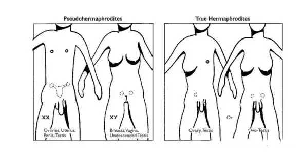 洛阳供卵试管 2023洛阳试管费用纳入医保了吗？ ‘b超查男女会不会把脐带看成是男孩’