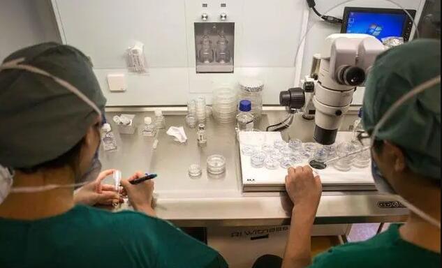 洛阳供卵试管 2023洛阳试管费用纳入医保了吗？ ‘b超查男女会不会把脐带看成是男孩’