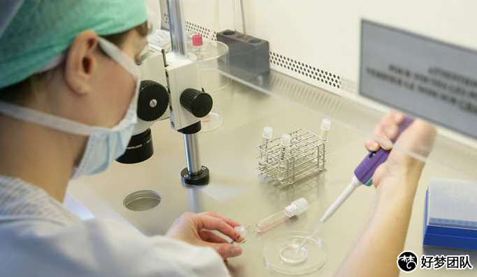 上海供卵试管孩子要多少钱?上海供卵试管公司