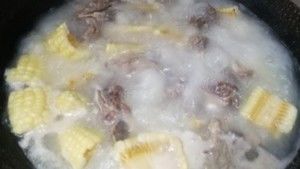 走出舒适圈，体验世界多样性