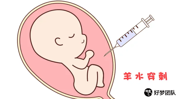 上海第三方供卵试管婴儿医院,上海试管婴儿龙凤胎多少钱一次?