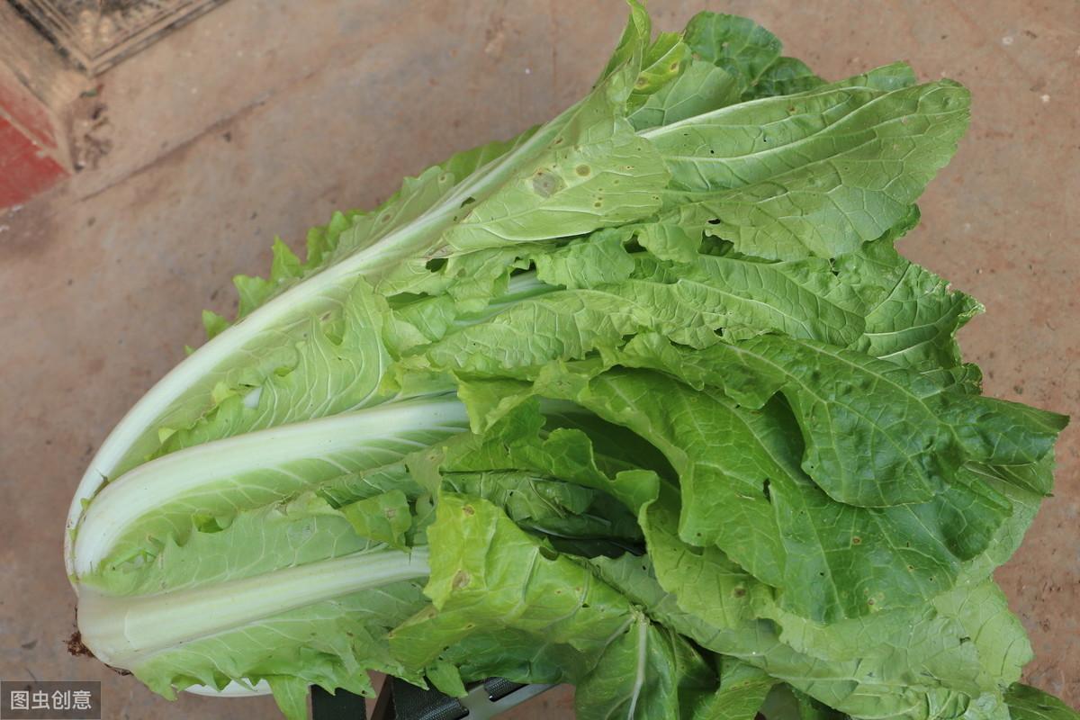 生活中的新生儿窒息因有哪些？不合理的盖被导致宝宝窒息最常见