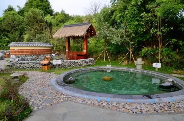 婴儿排气操的适宜时间：新生儿开始锻炼的秘诀