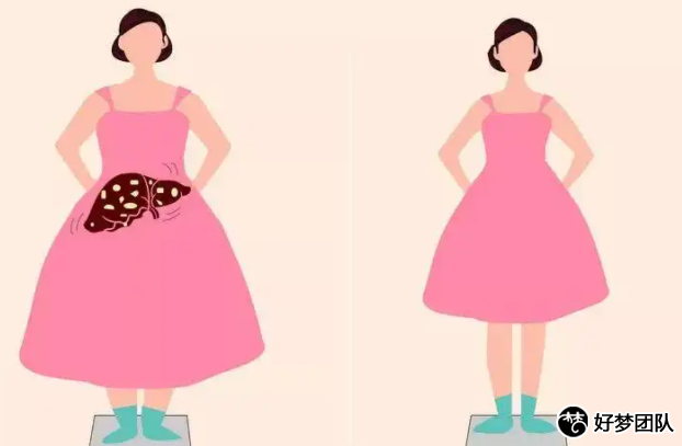 上海做供卵试管婴儿多久,上海好试管婴儿医院