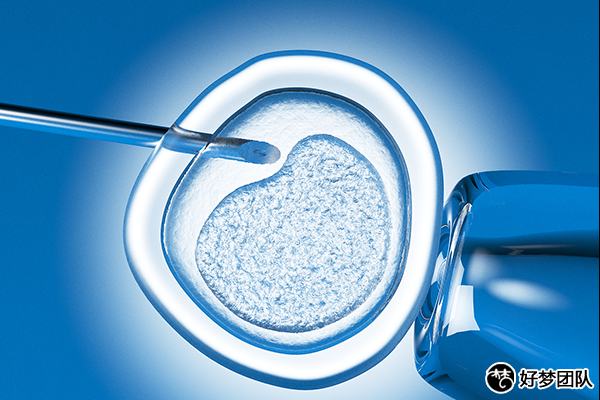 上海供卵试管费用,上海去供卵试管中心怎么样?