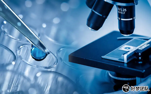 代孕试管费用,代怀咨询