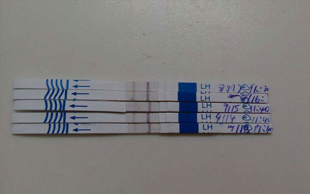 看排卵试纸的方法