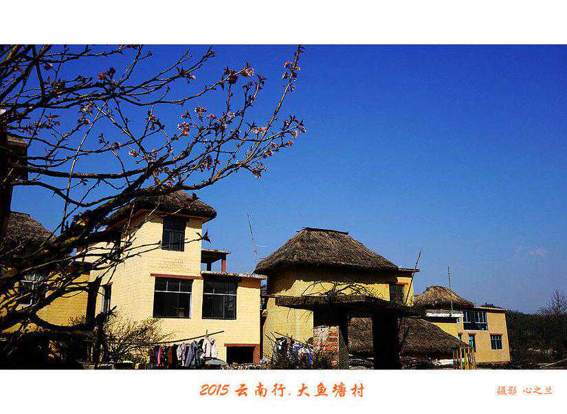 地中海贫血：疾病的全面解析与严重性探讨