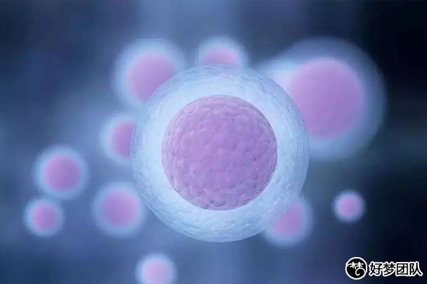 助孕专科联盟来助孕，让患者少走冤枉路