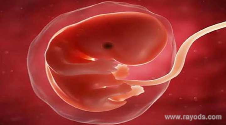 天津借供卵试管的医院,有天津供卵试管吗现在?