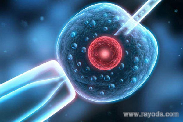 上海上海市人民医院试管婴儿成功率是多少