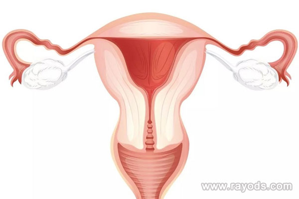 代怀试管费用,代孕多少钱?
