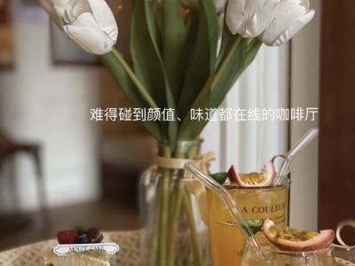 半至3岁半的宝宝游戏指南：与家长共度快乐时光