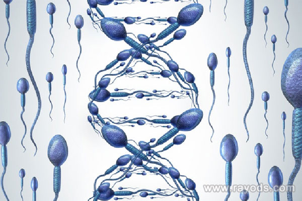 供卵助孕网,代怀试管费用