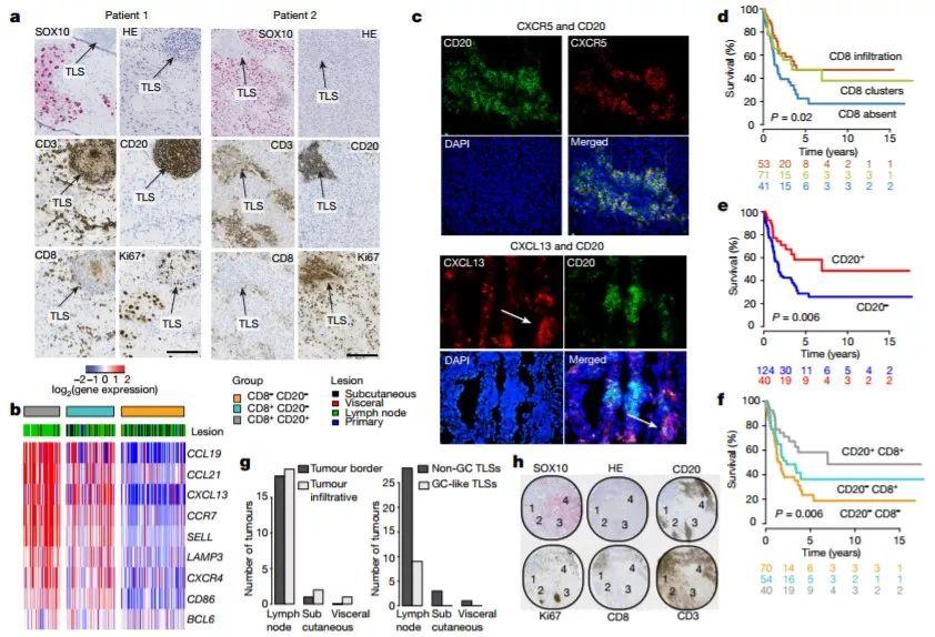 宝宝神经发育缓慢？快来试试这些小游戏，助力宝宝神经反应发展