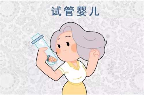 供卵试管公司,供卵试管费用