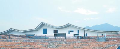 3岁孩子适合参加哪些体育活动？体育活动推荐与注意事项