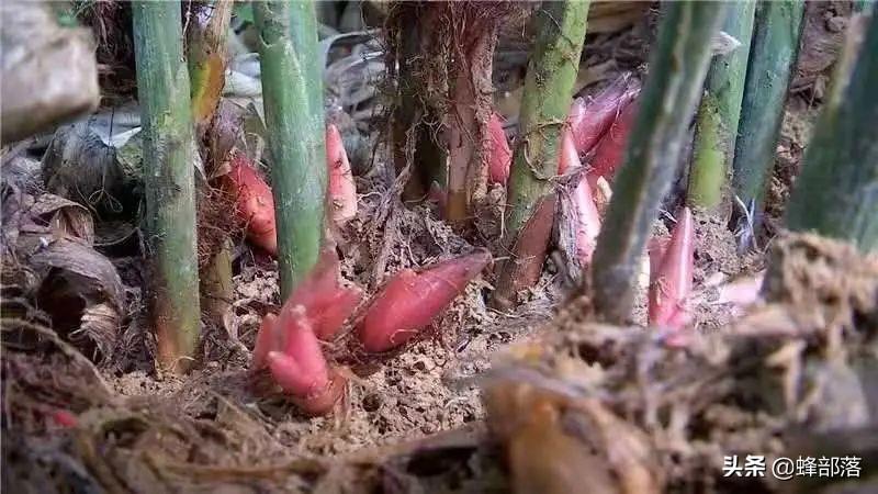 谷雨时节，如何给宝宝养生和调理身体？