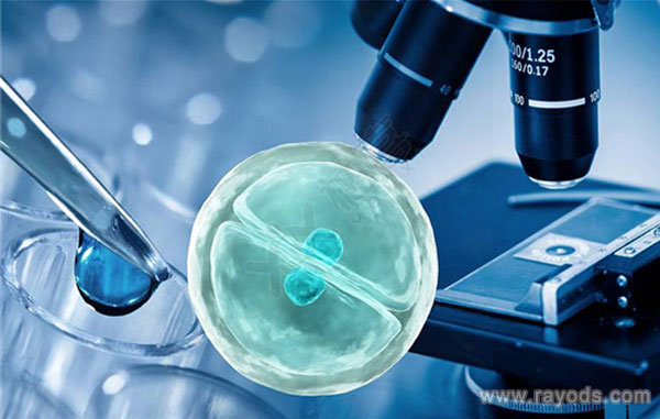 孩子高烧反复发作，吃药无效，因何在？