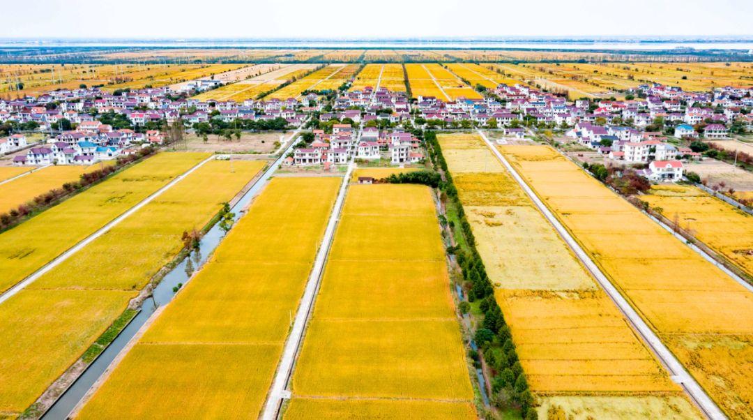 婴儿湿疹如何快速缓解？婴儿湿疹护理方法有哪些？