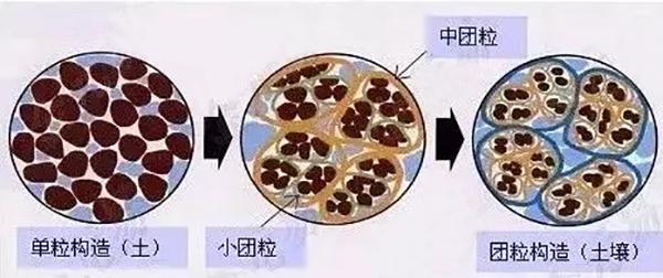 处理新生儿脐炎的方法及注意事项