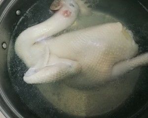 勇敢地智慧地学会拒绝