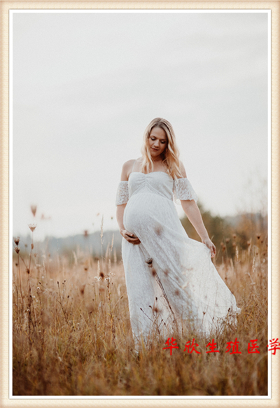 代怀试管费用,供卵多少钱?