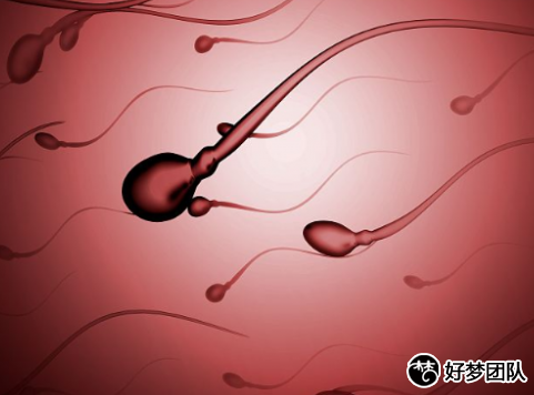 供卵试管多少钱?广州供卵试管费用