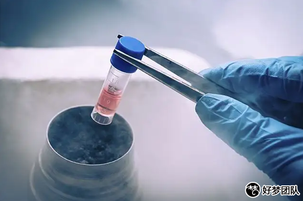 上海个人供卵试管电话查询,上海成功供卵试管医院