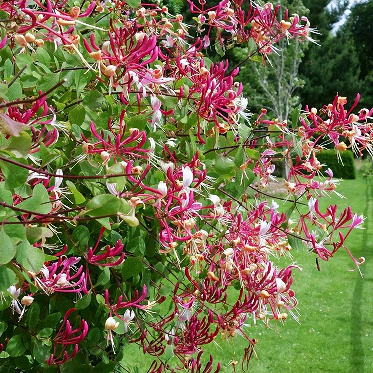 婴儿几个月内剃掉胎毛最好，婴儿100天时剃掉胎毛寓意
