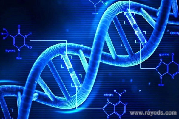 关于云大医院的基本介绍