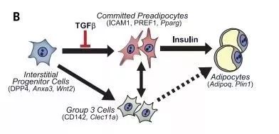  用赞美引导：变孩子任性行的策略