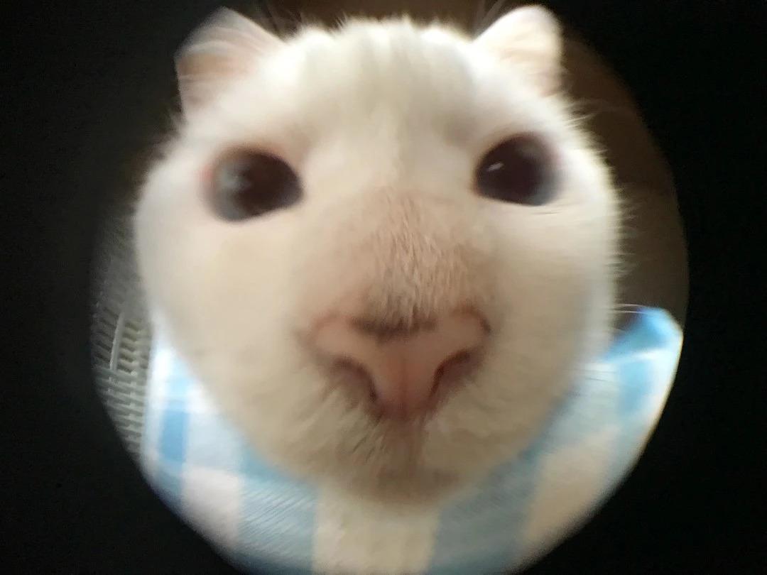 月宝宝如何预防流感？6个月宝宝打疫苗的问题解答