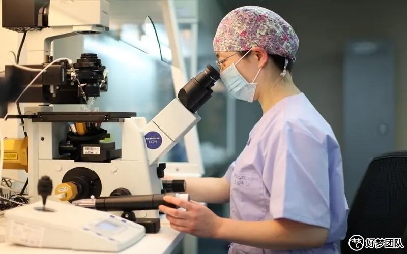 广州试管助孕费用,试管助孕