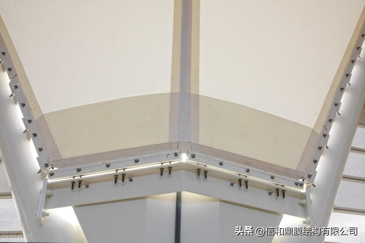 禅意父母：心灵成长的亲子教育